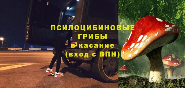 соль ск Верея