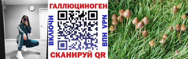 Псилоцибиновые грибы прущие грибы  Балашиха 